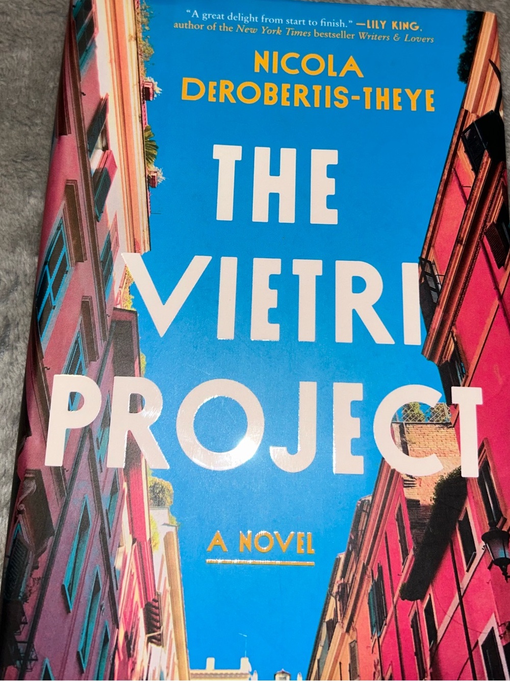 The Vietri Project by Nicola Derobertis-Theye, Hardcover, 2021
